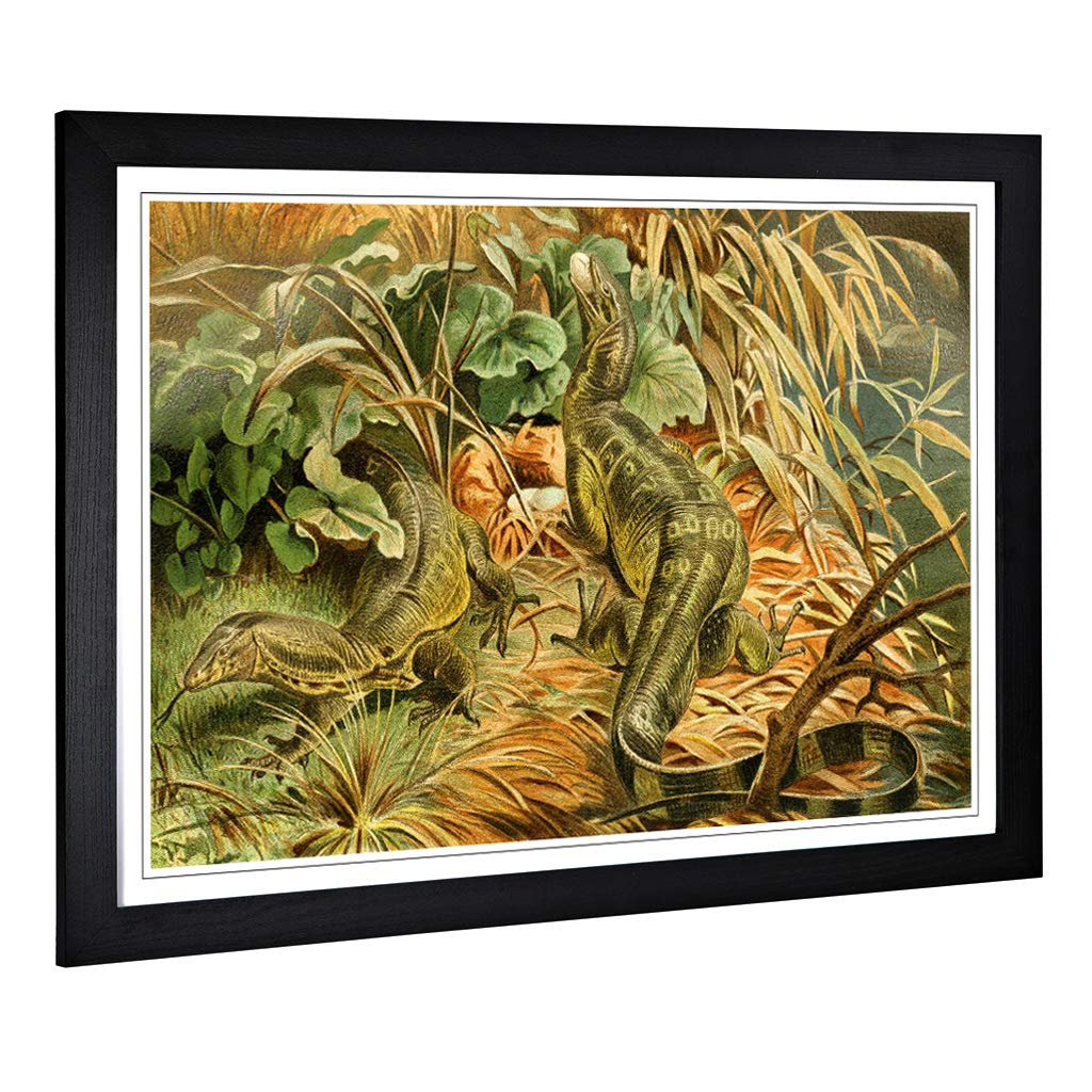 Big Box Art Framed Print of Vintage Brehms Tierlben Water-Monitor Design | Wall Art Picture | Home Decor for Kitchen, Living Room, Bedroom, Hallway, Black, A2 / 24.5x18 Inch / 62x45cm