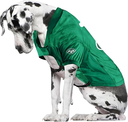 Littlearth NFL New York Jets Unisex Big Dog Trikot, Grün, Einheitsgröße (320156-