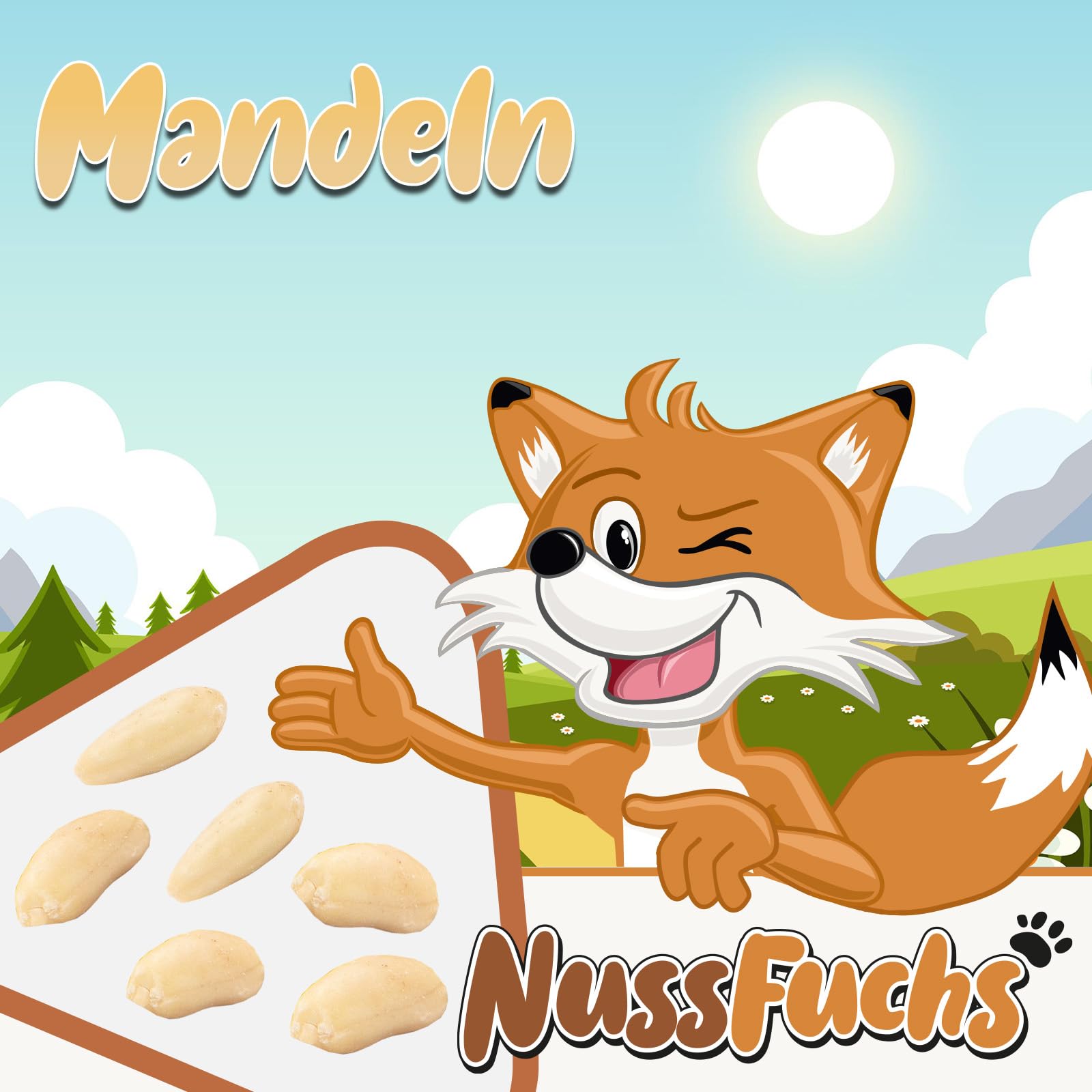 Mandeln blanchiert 3kg im Eimer ganz ungeröstet ungesalzen NussFuchs