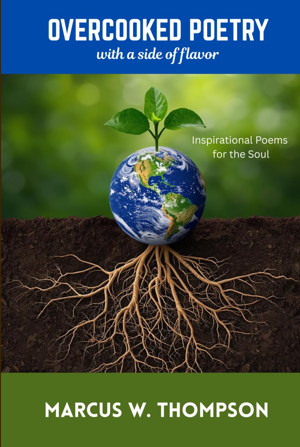 OVERCOOKED POETRY with a side of flavor: Inspirational Poems for the Soul