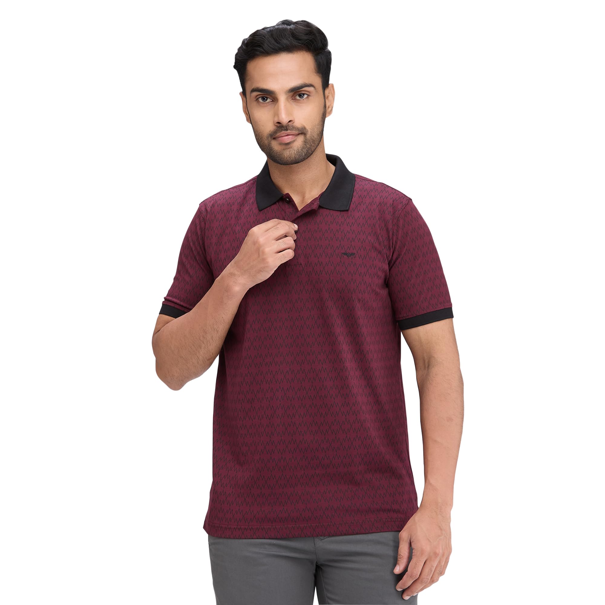 park avenue Men's Slim Fit Print Pattern Cotton Polyester Blend Polo Neck Half Sleeve Casual T-Shirt-picture-38