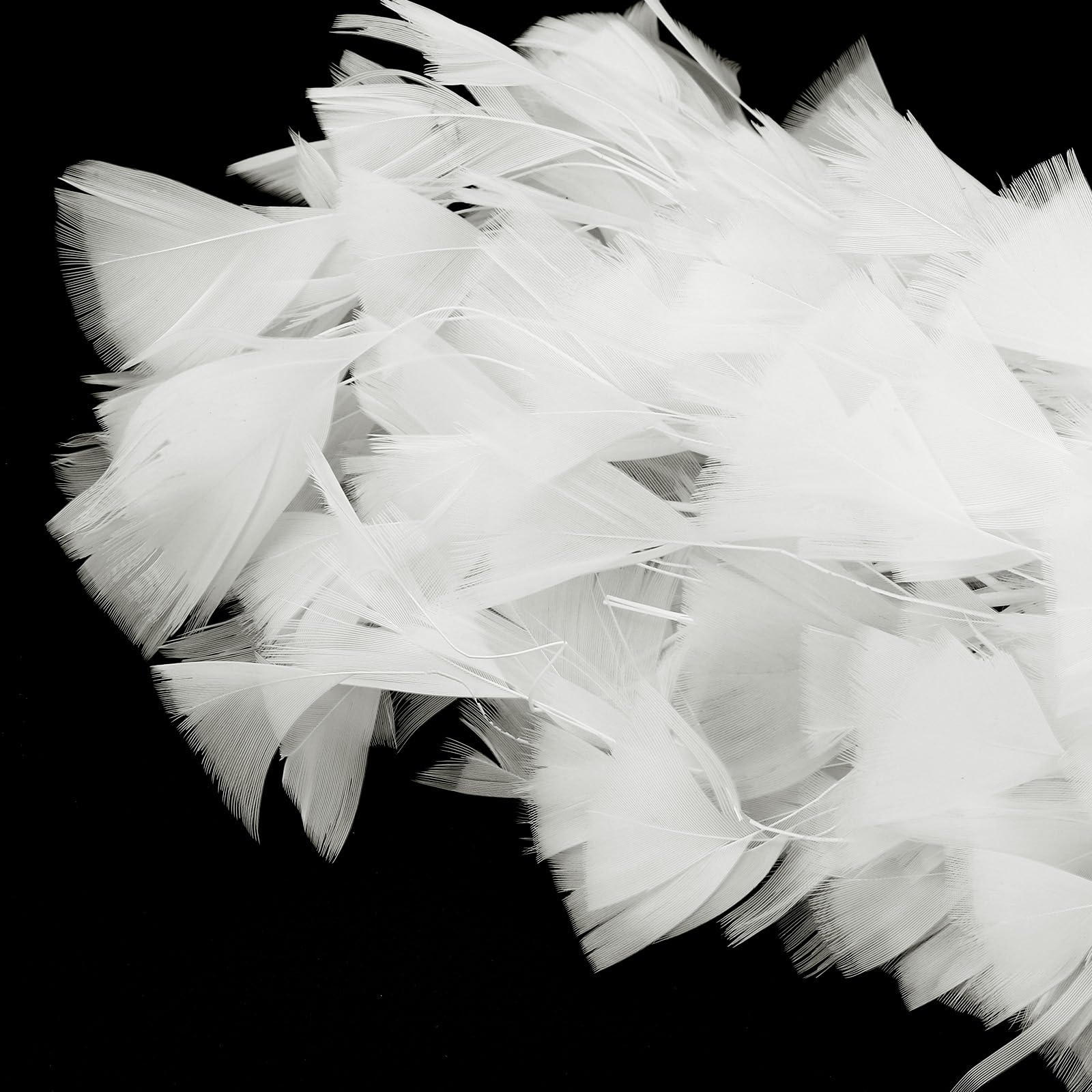 PATIKIL 10-12 Inch Turkey Feathers - Image 4