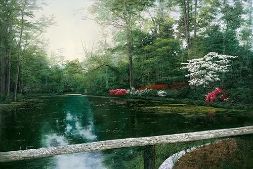 Posterazzi PDXR817DSMALL Obra de Arte, Mediana, Multi