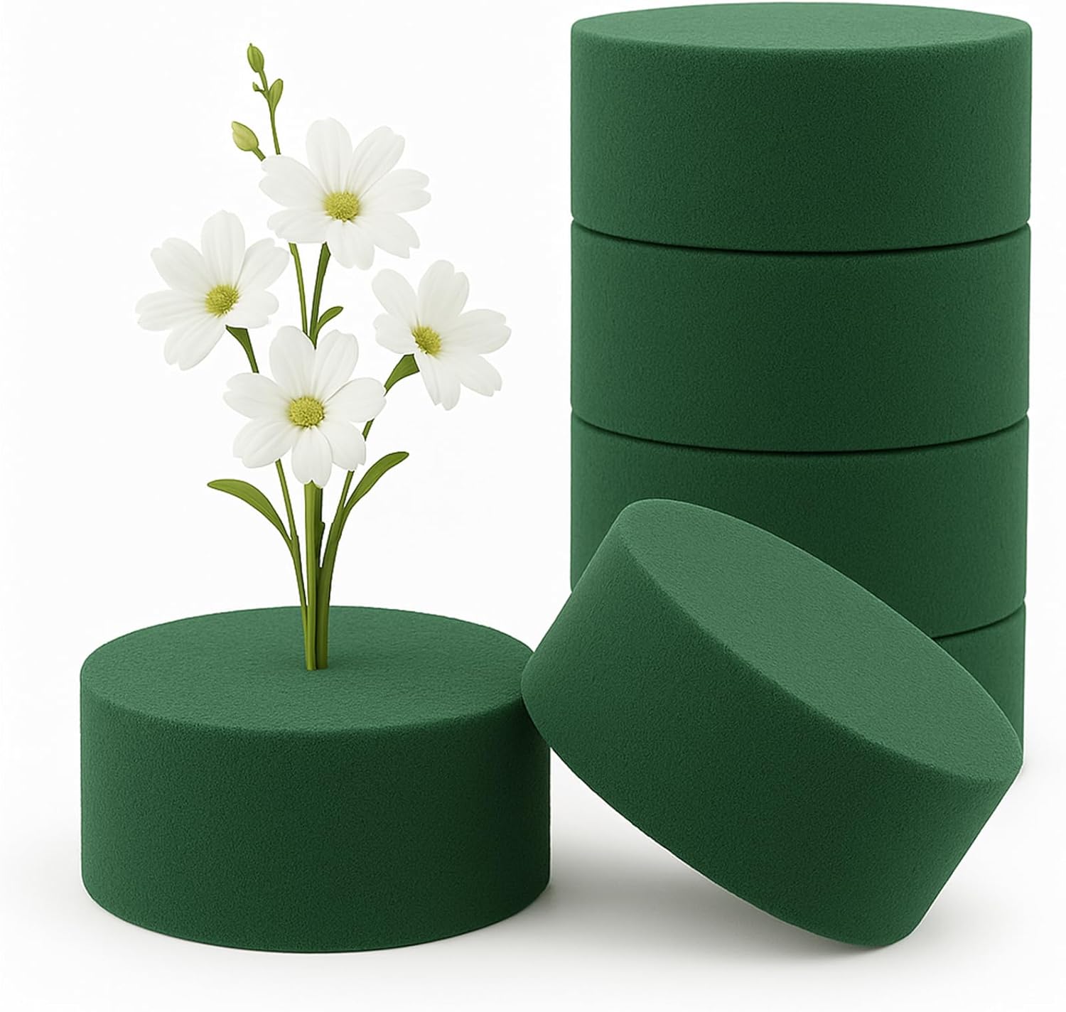 Minfuerang 6 Stück Rundes Steckschaum 8 x 4 cm,Blumensteckschaum Zylinder,Nasssteckschaum,Blumenschaum für Schnittblumen,Steckmoos für Partys,Familienfeiern und Hochzeiten