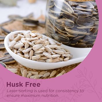 Extra Select Sunflower Hearts Bird Food - Husk-Free, Oil Rich, High Energy Wild Bird Seed for Year Round Feeding - 2 kg