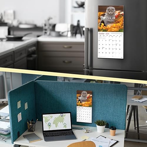 Miniatura 4 de Red Ember - Mini calendario de pared para espacios pequeños  Gatitos 2024 colgante mensual por Red Ember  Solo 7 x 14 pulgadas abierto  Papel grueso