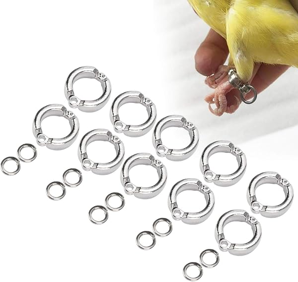 Cikonielf 10 anelli per piedi per uccelli in metallo per pappagalli, per attività all'aperto, attività di allenamento con mosche, accessori per piccoli e medi e grandi uccelli (#12) - 1