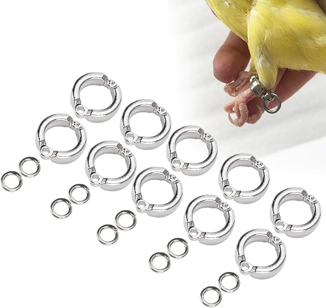 Cikonielf 10Pcs Bird Foot Rings Metal Parrot Leg Ring Outdoor Fly Training Activity Opening Clip Accessories for Small Medium Large Birds Training(#8)