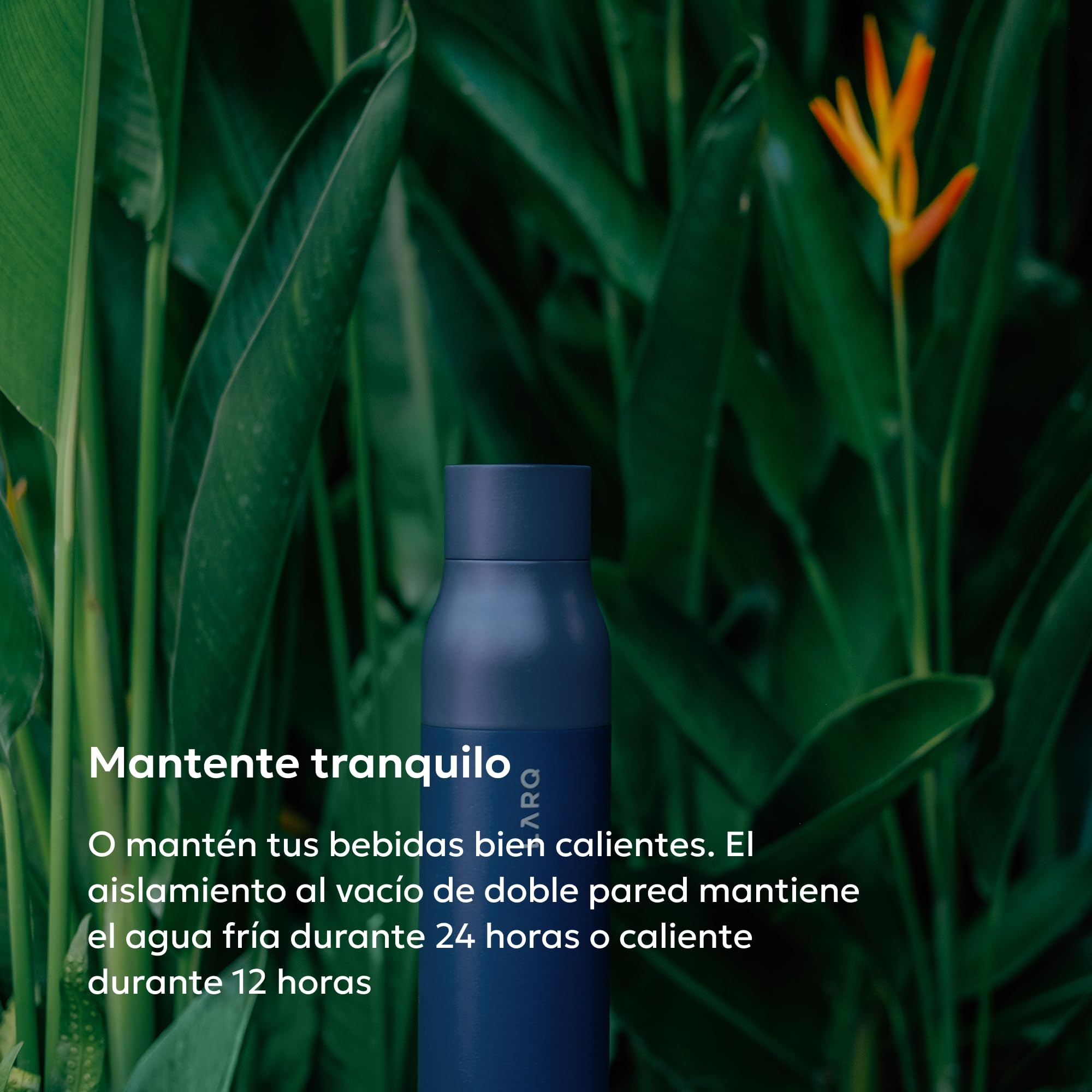LARQ Bottle Twist Top - Botella de agua de acero inoxidable con aislamiento al vacío y diseño galardonado, termo, 740ml, Monaco Blue