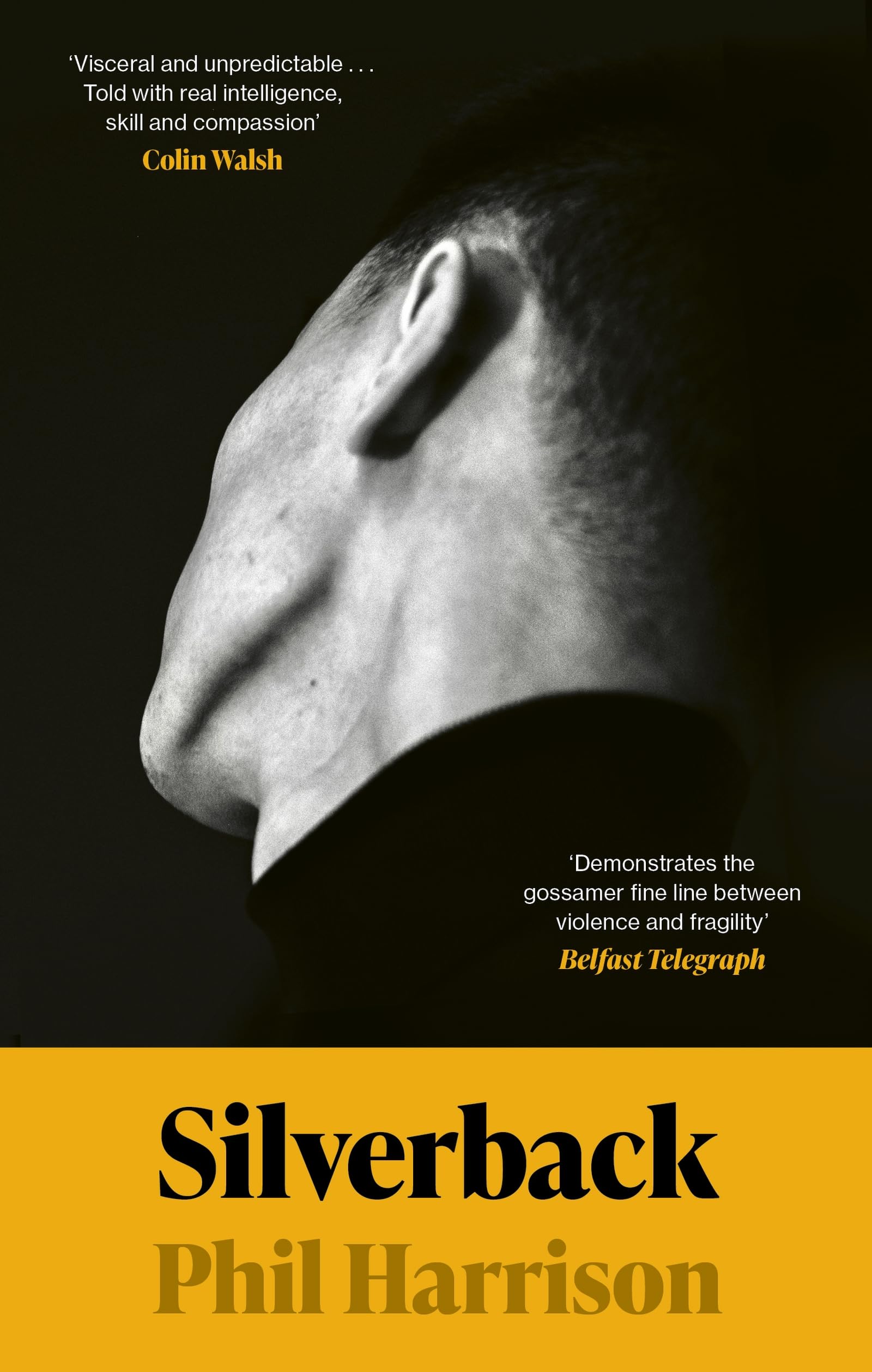 Silverback: 'A dark unnerving tale' (John Boyne)