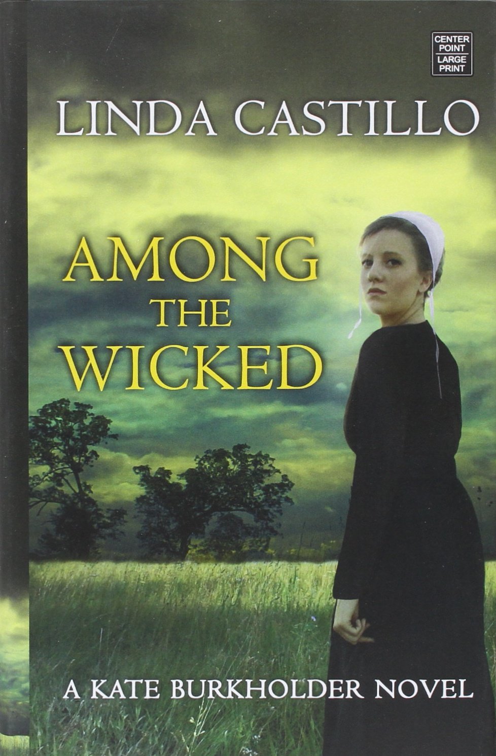 Buy Among the Wicked (Kate Burkholder) — BookShops.in