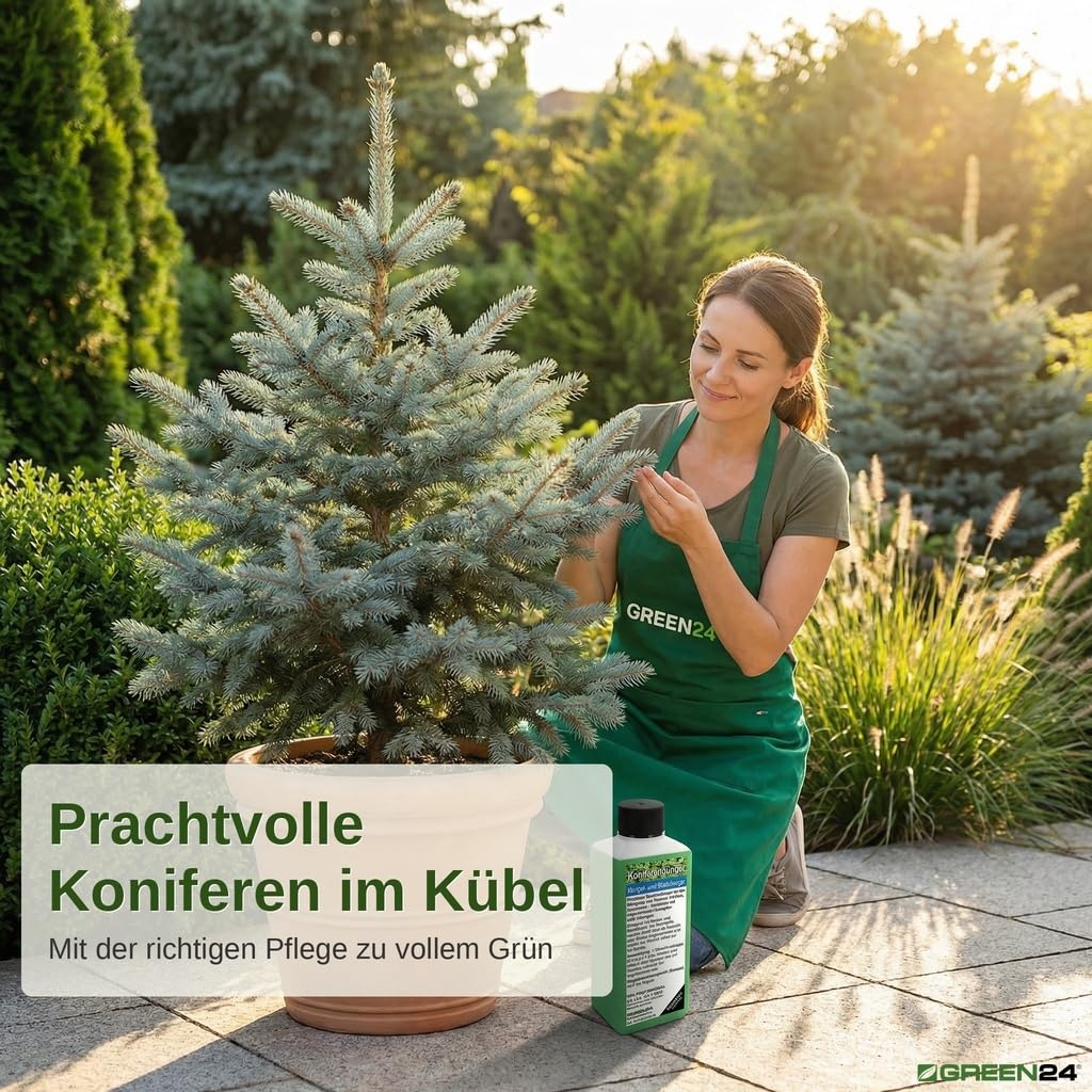 Koniferen Dnger XL Profi Linie 1 Ltr. Tannen, Fichten, Kiefern dngen,  Premium Flssigdnger aus der Profi Linie : Amazon.de: Garten