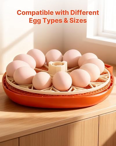 Miniatura 6 de VEVOR Incubadora de 12 huevos, girador automático de huevos con vela LED, control de temperatura y humedad, ventana transparente de visión de 360°