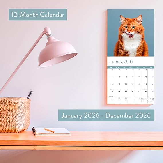 2026 Cat Wall Calendar - January - December