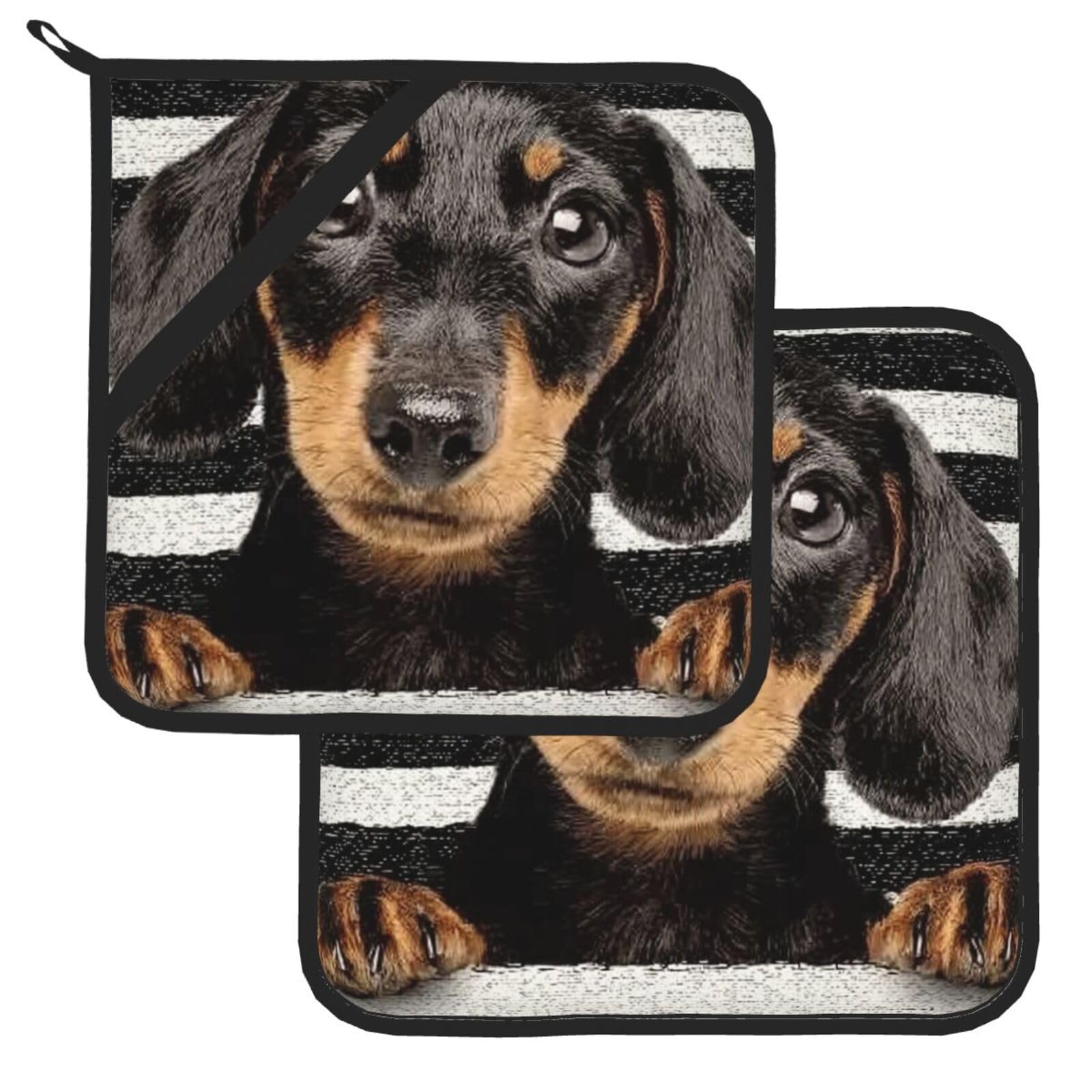 Pot Holder Set of 2 Heat Resistant Kitchen Potholders Dachshund Dog Print Pot Holders Kitchen Trivets with Hanging Loops Washable Oven Hot Pads for Cooking Baking BBQ