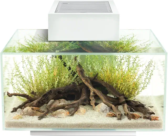 Fluval Edge 2.0 23L Aquarium Set - Leistungsstarkes LED-Beleuchtungssystem
