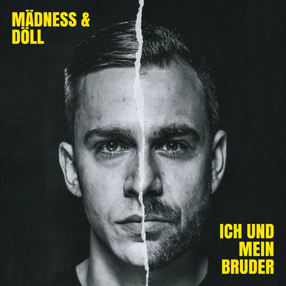 Ich und Mein Bruder [VINYL]