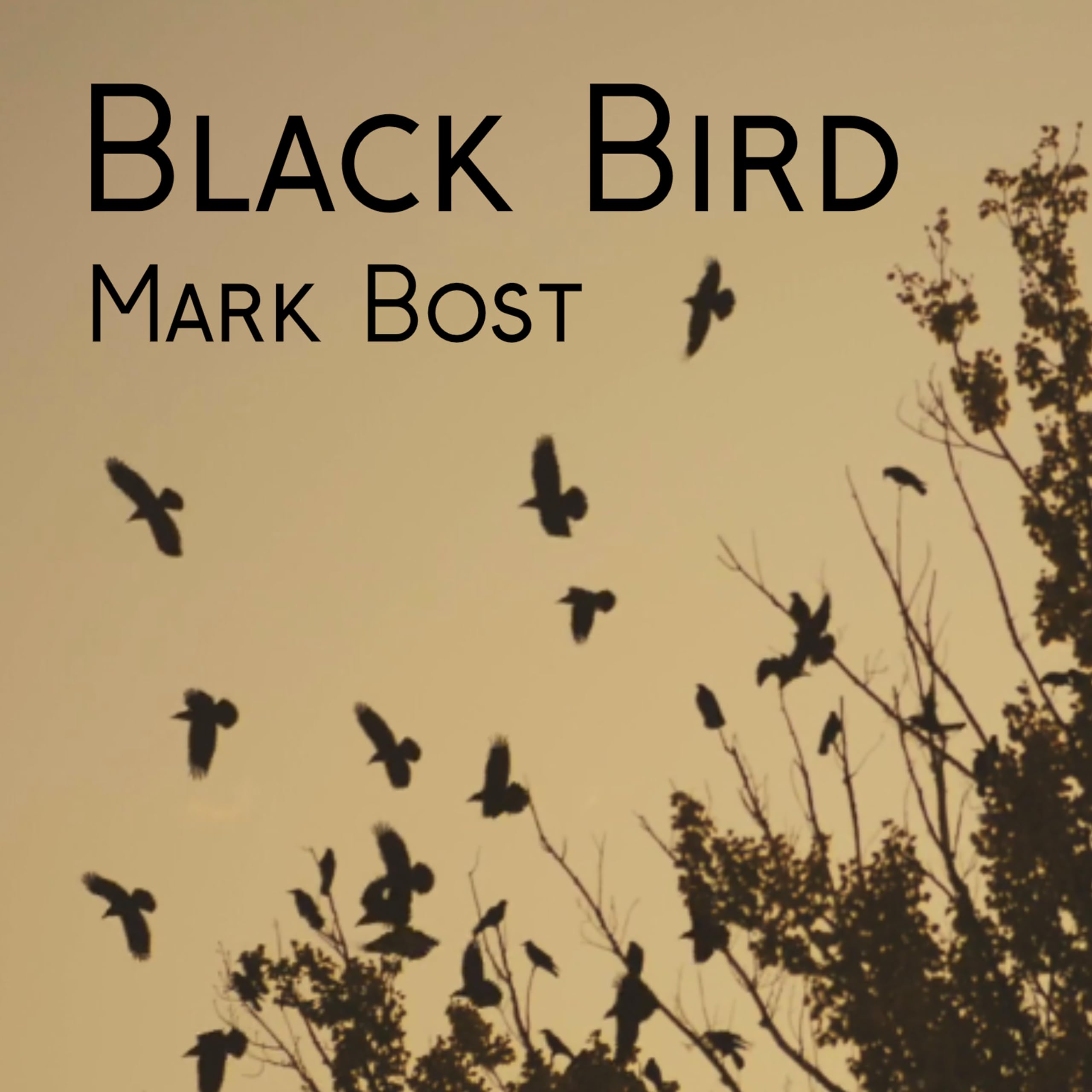 Mark Bost
