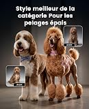 oneisall Tosatrice per Cani pelo lungo professionale, Tosatore Rasoio, 2 Livelli da Tosatrici Elettriche per cani/Gatti, Con batteria rimovibile e pettine in acciaio carbonizzato - 8