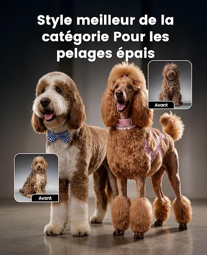 oneisall Tosatrice per Cani pelo lungo professionale, Tosatore Rasoio, 2 Livelli da Tosatrici Elettriche per cani/Gatti, Con batteria rimovibile e pettine in acciaio carbonizzato - 8