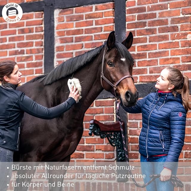 Foto 2 de 8 de Bense & Eicke Cepillo de raíces SchmutzLiese - Cepillo para el cuidado de caballos, fabricado en Alemania
