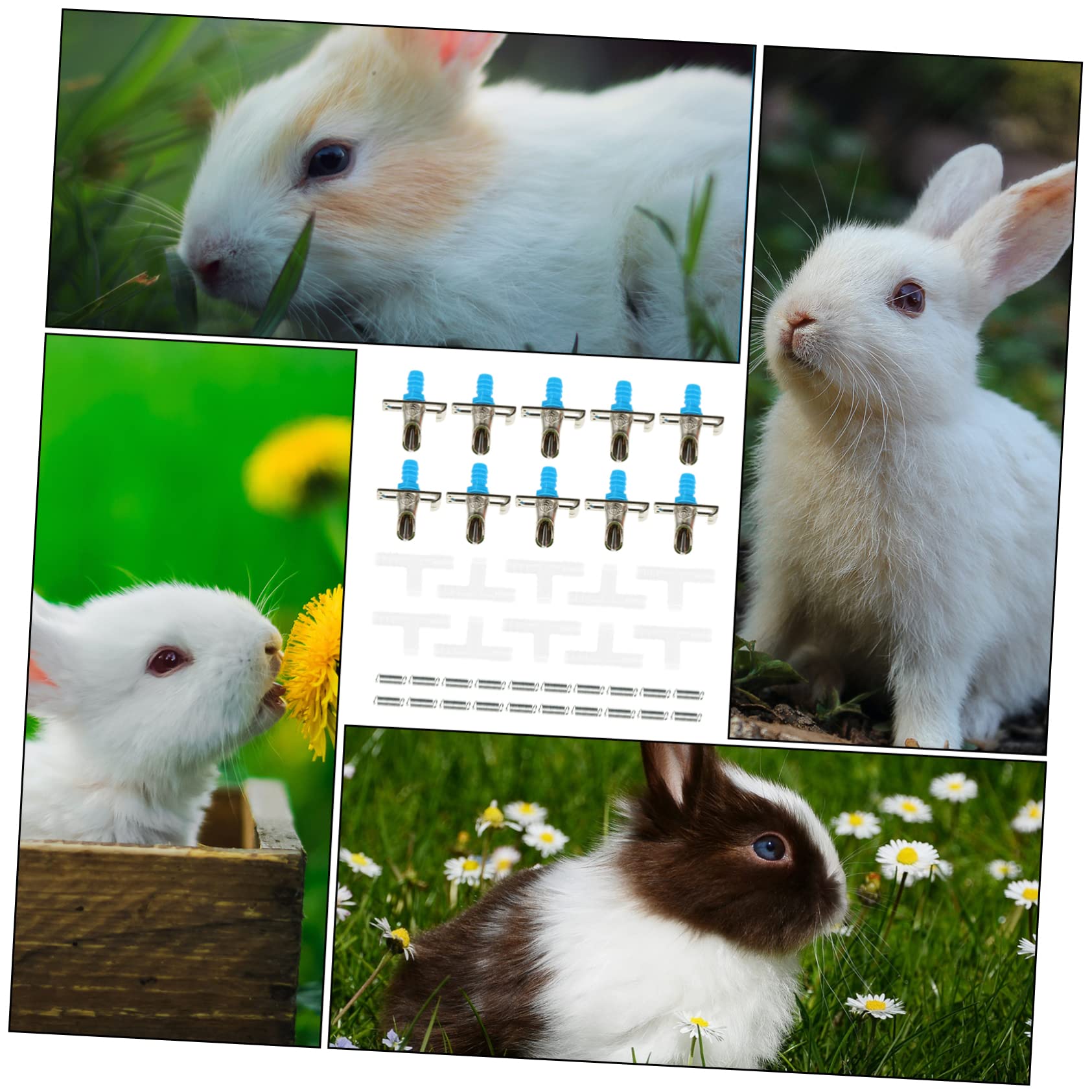 Angoily 30pezzi Erogatore Automatico Per Conigli Con Doppia Molla Abbeveratoio Per Piccoli Animali Design Resistente e Facile Da Installare Per Conigli Furetti e Chinchilla