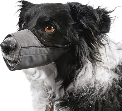 Jorvet Nylon Muzzle, Large