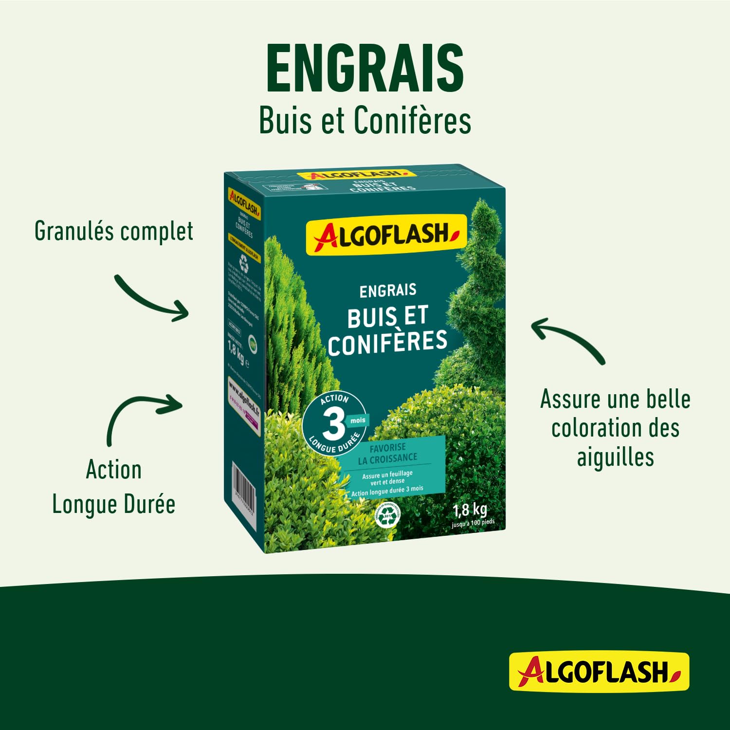 Algoflash Engrais Buis et Conifères, Action longue durée - 1,8 Kg
