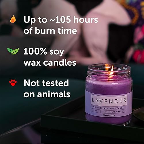 Miniatura 6 de Maplefield Vela perfumada Eliminador de olores – Eliminador de olores de humo y desodorante para mascotas – Tiempo de combustión de 105 horas y