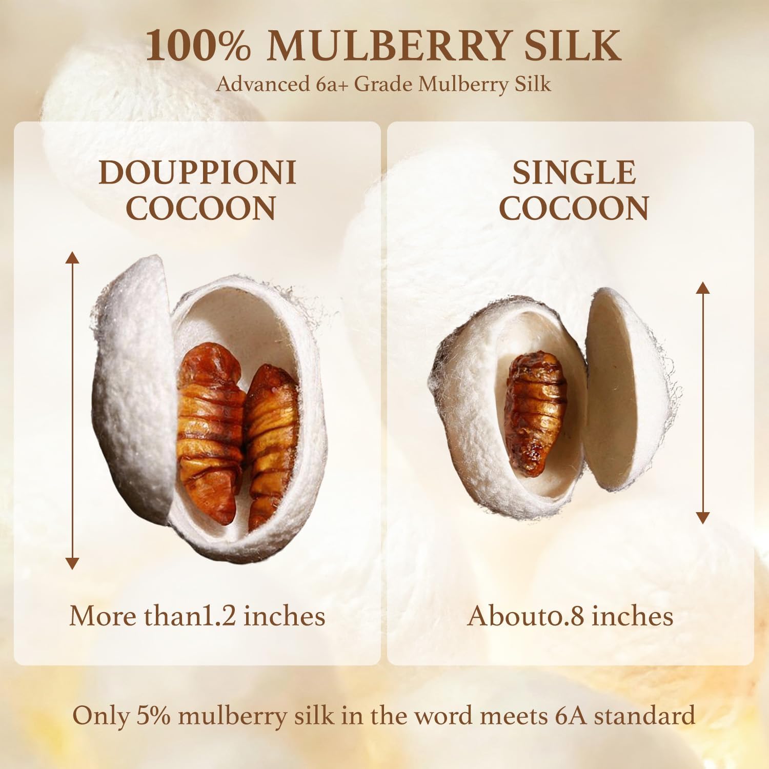 Shilucheng 100% Silk Duvet Cover Set, Luxury 6A Mulberry Silk Comforter Cover, Smooth Cooling Breathable Duvet Cover 3 Piece with Zipper Closure (Queen,Champagne)