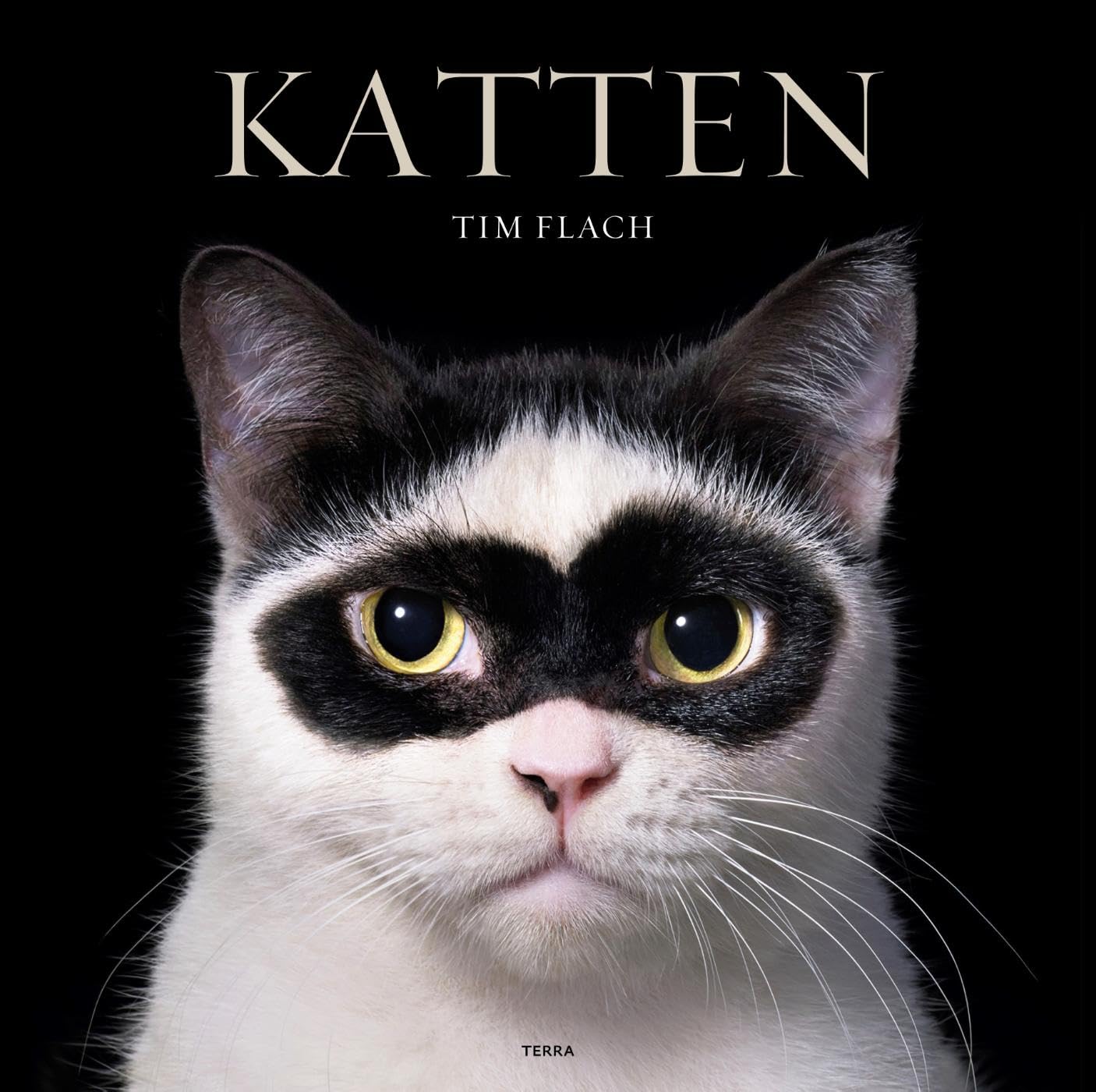 Katten griffoir stable pour chat avec plateforme de repos et couchage douillet