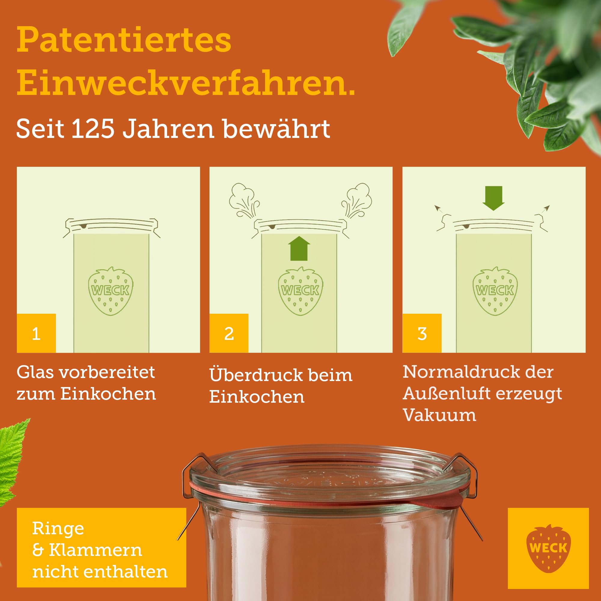 Weck Słoiki 750 ml – Zestaw 6 sztuk z pokrywkami – Kształt odwrócony – Wytrzymałe i sztaplowane słoiki do przetworów i przechowywania – Idealne do Meal Prep, zakwasu i fermentacji – Wielokrotnego