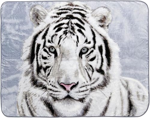 Shavel Home Products Manta de lujo de pelo alto de gran tamaño, felpa y cálida, 60 x 80 pulgadas, tigre blanco
