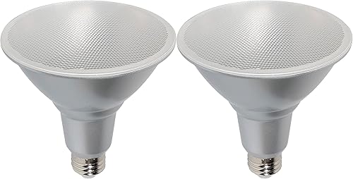 Satco - S29457 - Bombilla - Transparente