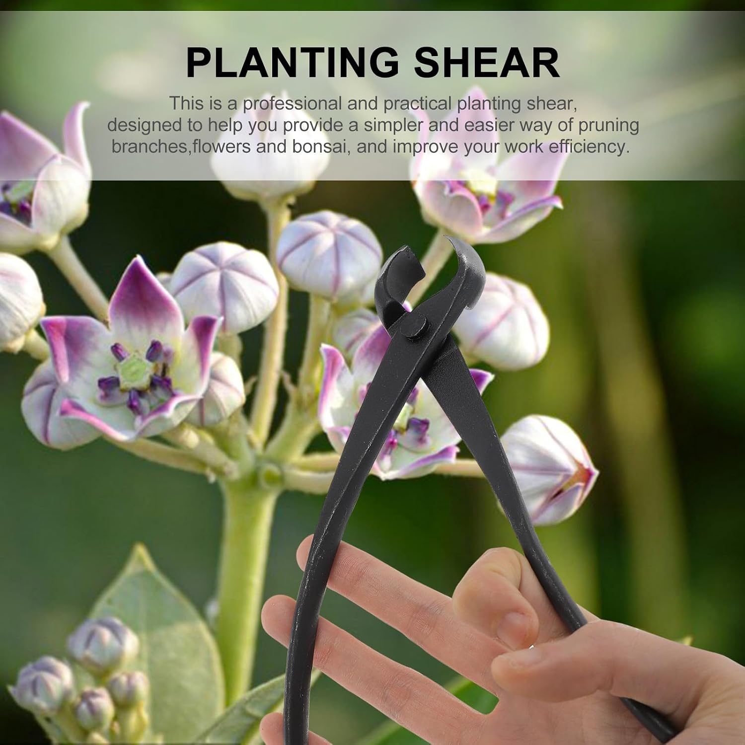 Japanese Concave Plant Shear with Spherical Knob Cutter Labor-saving Gardening Bonsai Tool for Precise Branch Trimming Sturdy Concave Pruner for Healthy Plant Growth for Gardeners