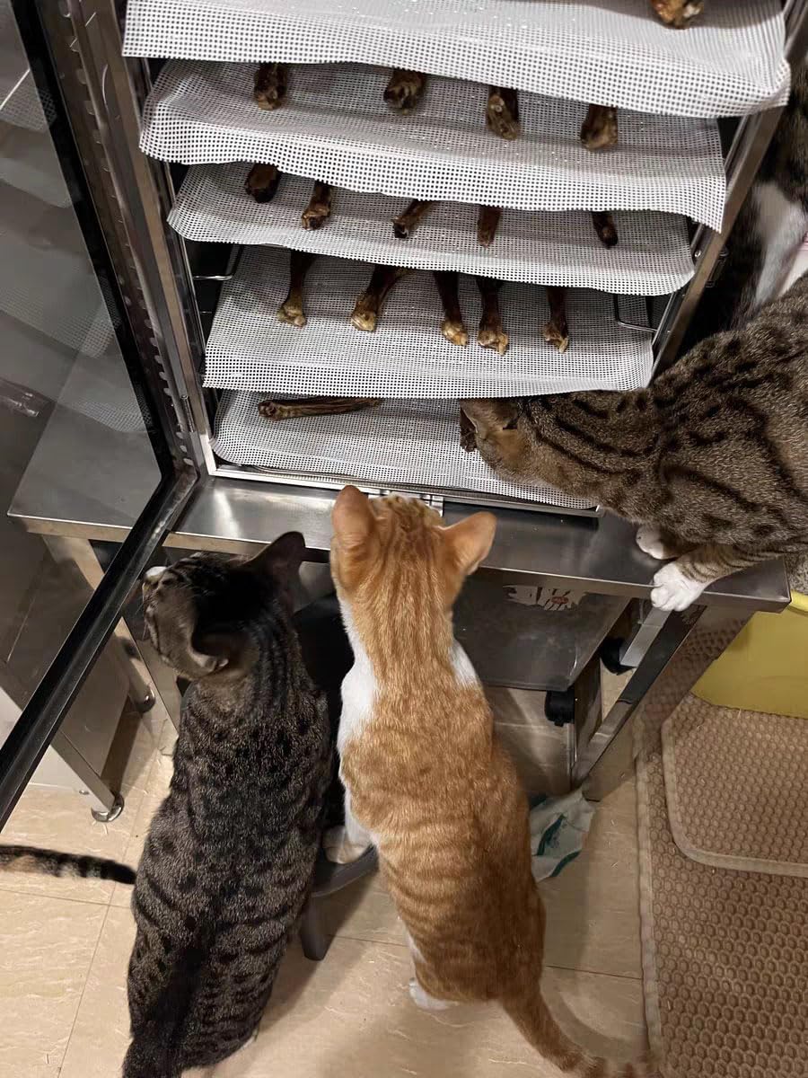 23.6 * 157.5"(60 * 400cm) Silicone Dehydrator Sheets, Non-Stick Reusable Dehydrator Mats for Fruit Dryer Mesh for Cosori,Fine Mesh Trays