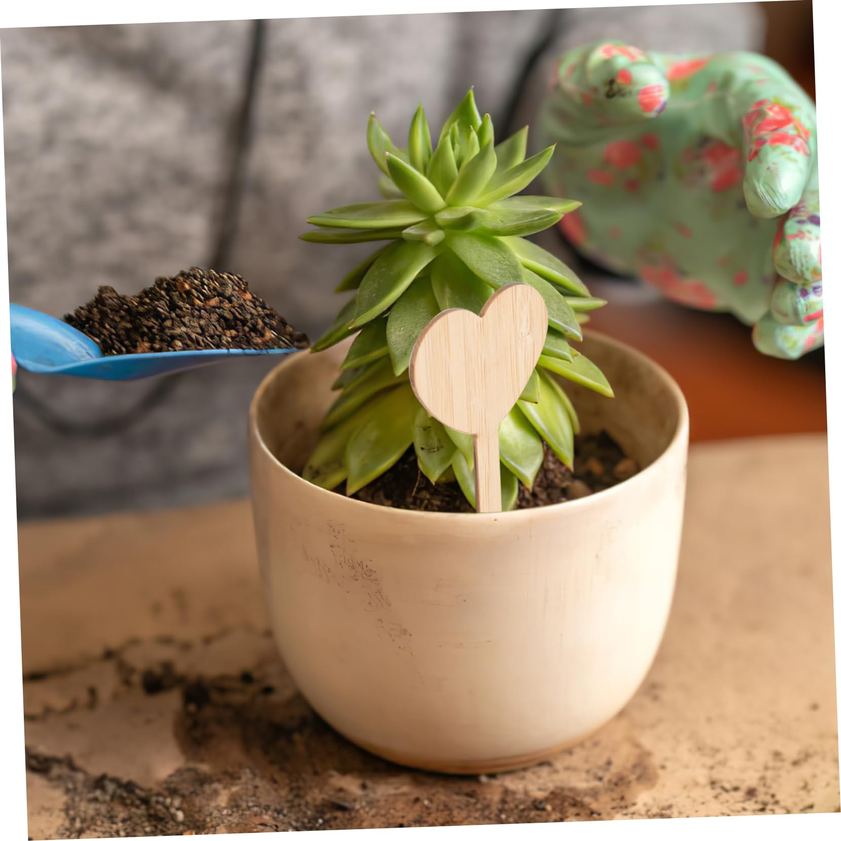 BESTonZON 5 ensembles Étiquettes Autocollantes En Bambou Pour Jardin Piquets Panneaux De Jardin Étiquettes Pour Plantes D'Extérieur Piquets De Jardin Marqueurs De 20 pièces * 5