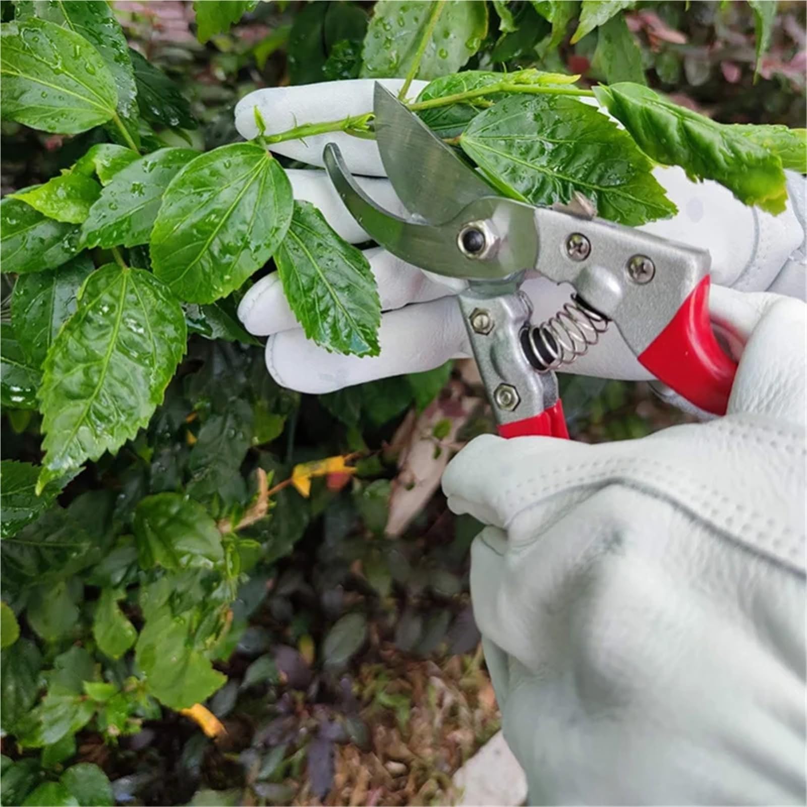 Générique Gants longs de jardinage en peau de mouton - Gants résistants aux épines et aux coupures, anti-coupures, for la taille des rosiers et les travaux de jardinage.(L)