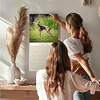 Vista 323 de Razas de Perros 2017