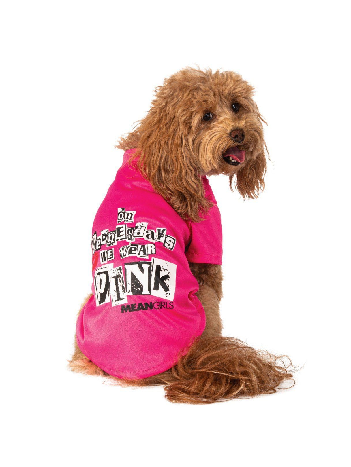 Rubie'nin Ortalama Kızlar Çarşamba Giyim Pembe Pet Kostüm Tee, X-Small