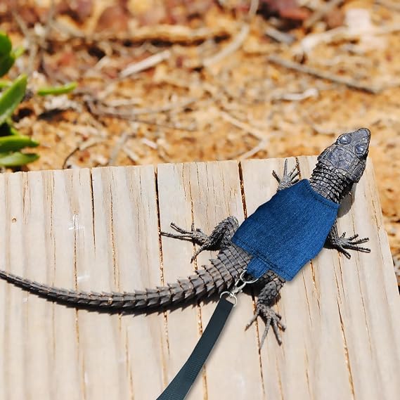 Bearded Dragon Harness and Leash Set, 5 ft Leash Adjustable Harness - Lizard Clothes Traction Rope Escape Proof for Reptiles Amphibian Small Animal Pets Walking Outdoor (Blue Large)