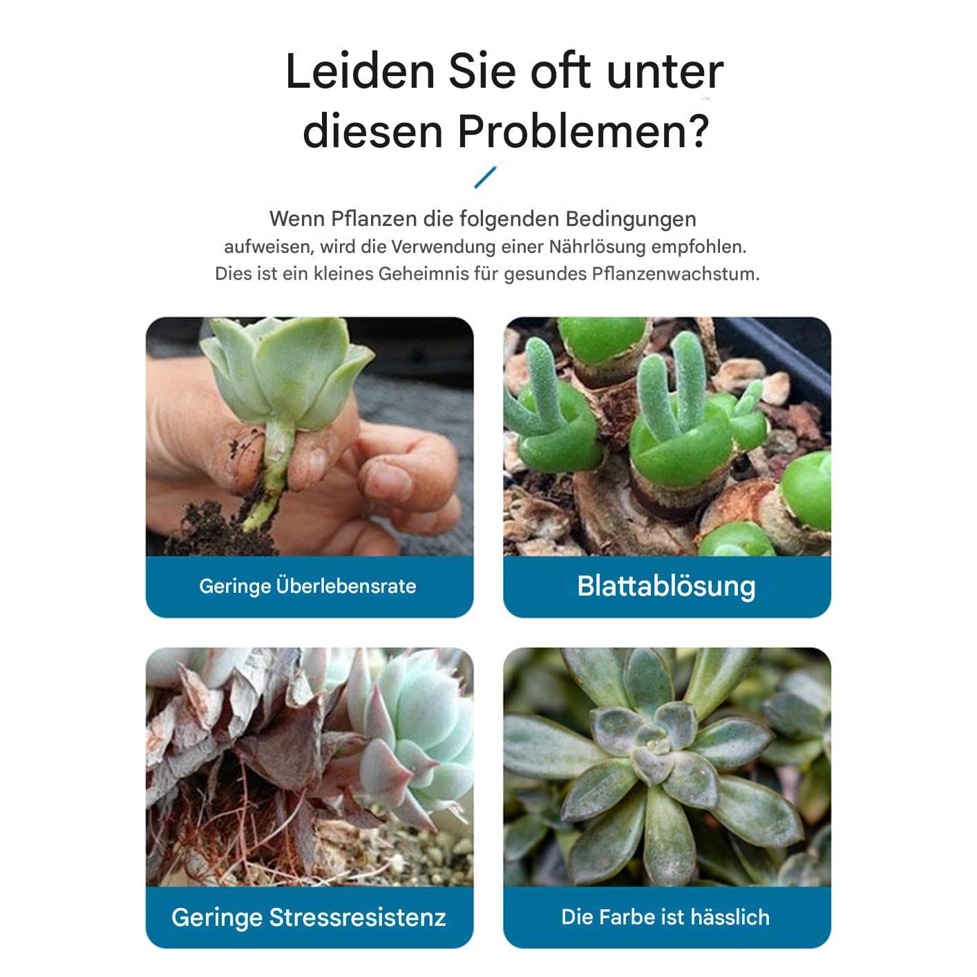 Kakteen Dünger - Sprossenstärker Spray Für Kakteen Und Sukkulenten | 100ml Langzeit-Sprühdünger Für Wachstum Und Vermehrung