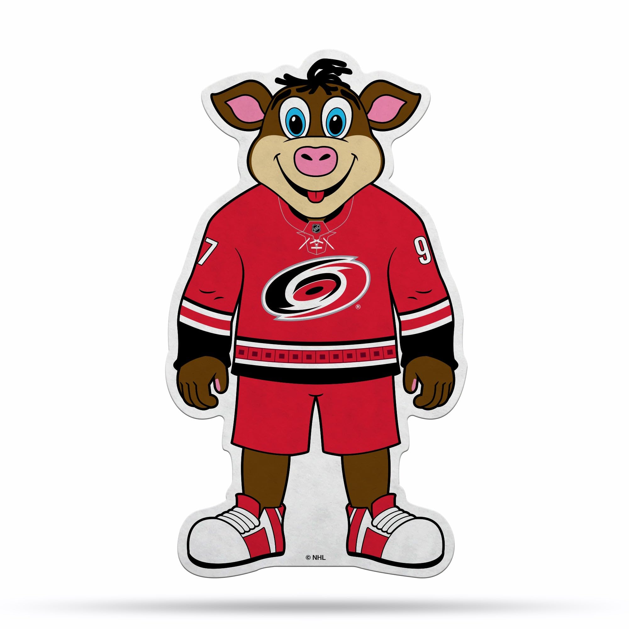 Fanion Carolina Hurricanes NHL le cadeau idéal en feutre pour fan de hockey sur glace