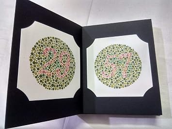 Ishihara Colour Vision Test Book for Color Deficiency__24 Plates with User ManualPack of 2