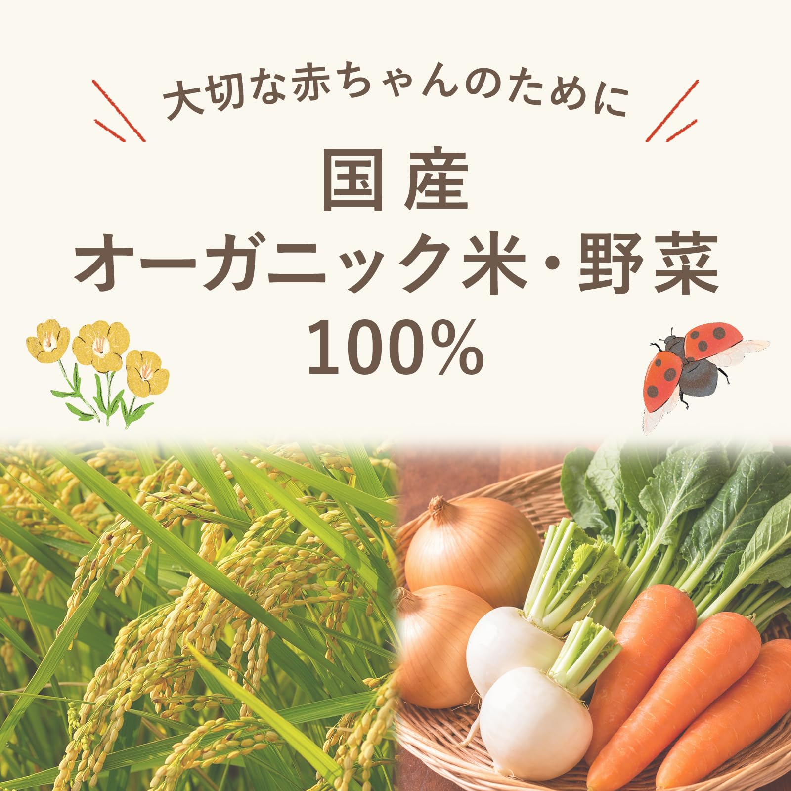 リトルワンズ 無添加 離乳食 おじや 7ヶ月 ベビーフード