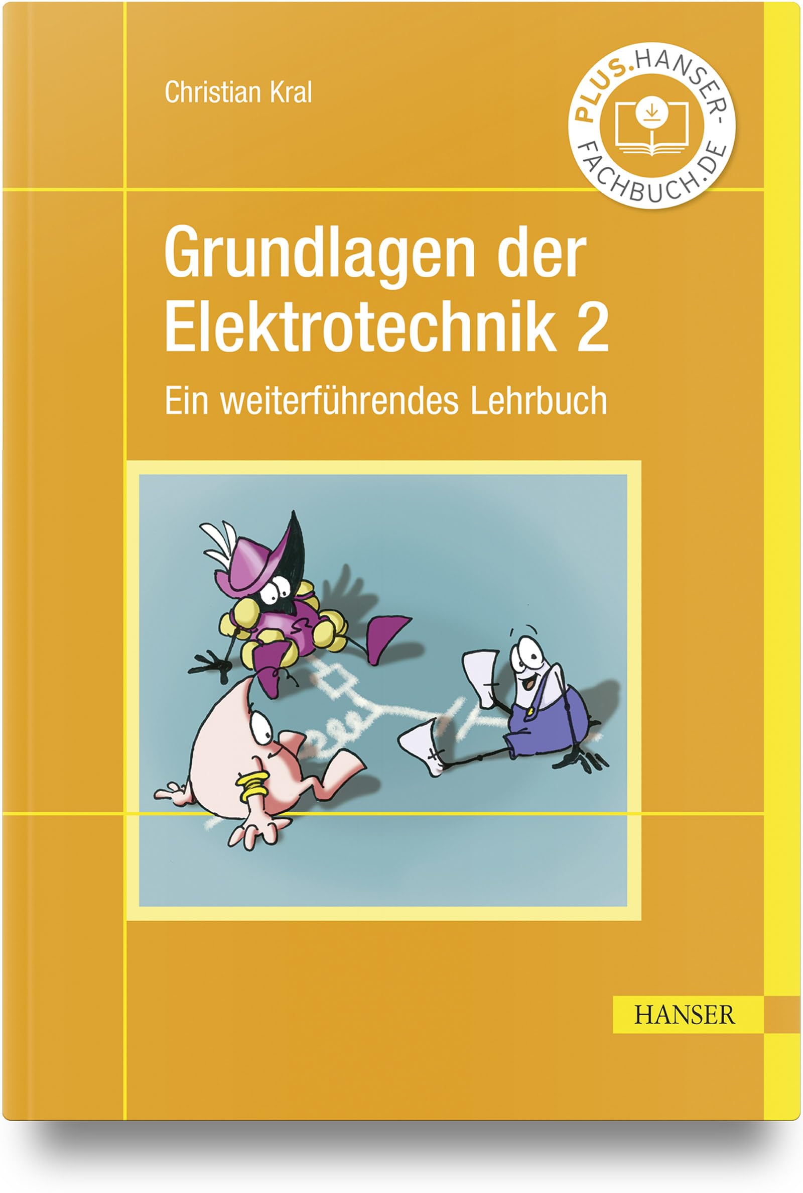 Grundlagen der Elektrotechnik 2: Ein weiterführendes Lehrbuch