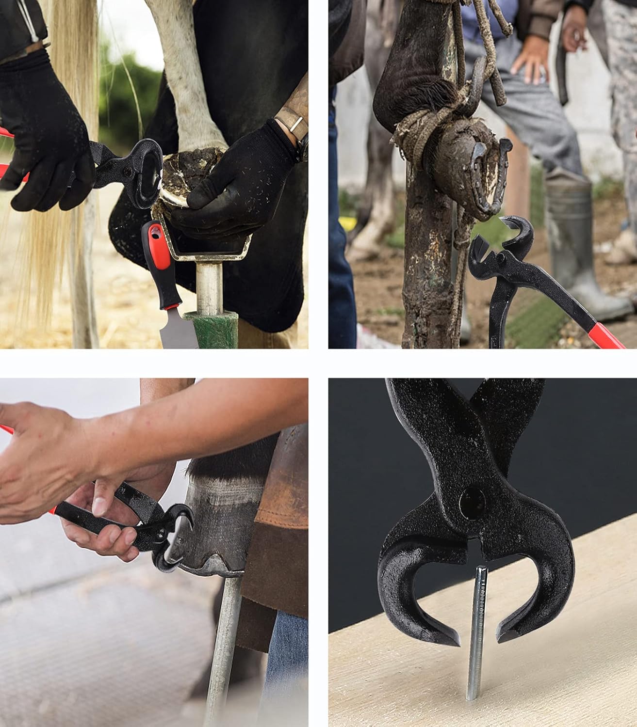 Ueemph Farrier Tools 16-inch,Horseshoe Pliers Tool for Horses,Rasp Hoof Cutter Set, Horses Hoof Trimmers Tools, Suitable for hoof Trimming of Goats, Sheep, Alpaca, Pigs, Horse Pick, Cattle, Donkeys. : Pet Supplies