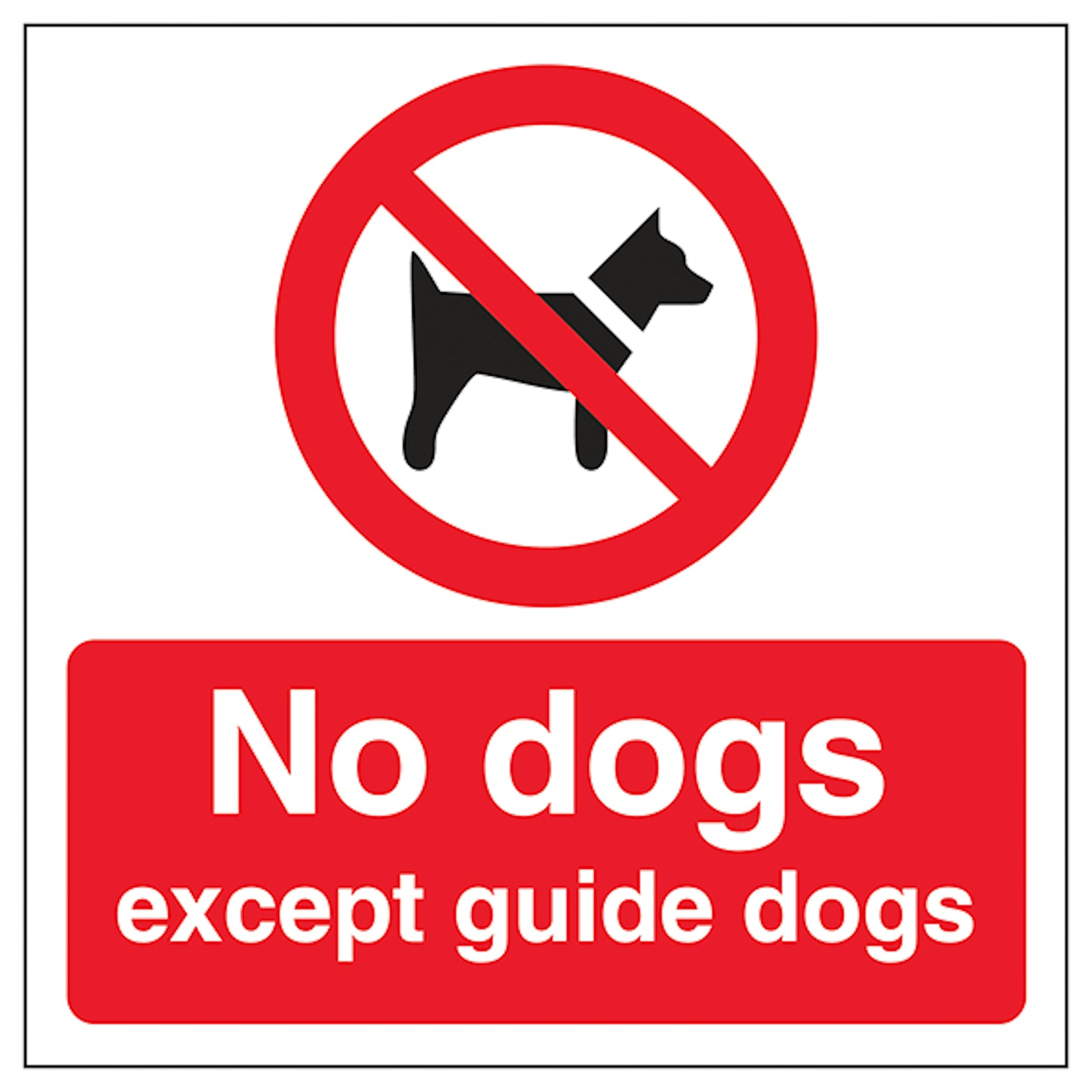 V Safety No Dogs Automatic Door 150 x 150 mm - 1mm Rigid Plastic Safety Sign