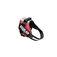 Julius-K9, Pettorina IDC Power