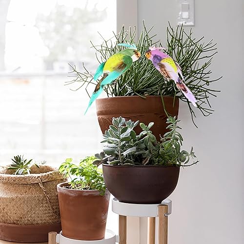 Miniatura 8 de NOLITOY 6 pájaros artificiales de espuma de simulación de cola larga, pájaros falsos para decoración de Navidad